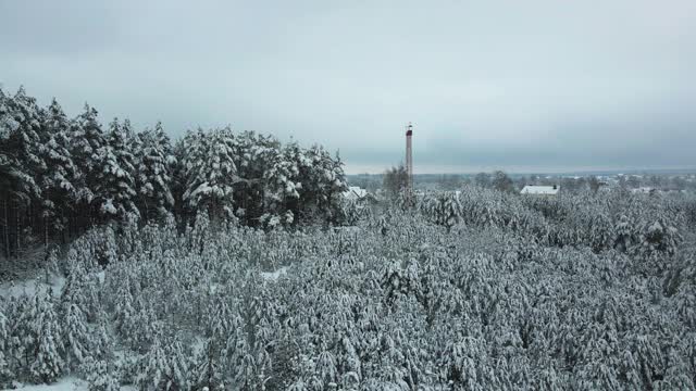 冬天的森林里，树上积了很多雪，结了霜，白天，飞上一架无人机，俯视被雪覆盖的树木视频素材