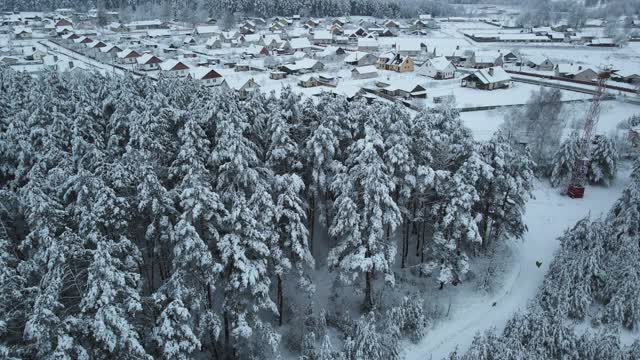 冬天的森林里，树上积了很多雪，结了霜，白天，飞上一架无人机，俯视被雪覆盖的树木视频素材