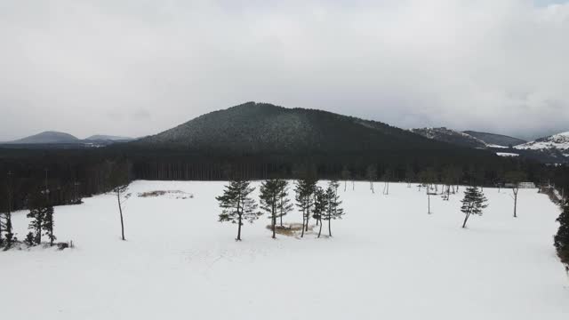 雪景Oreum(寄生火山)和树/济州岛，韩国视频素材