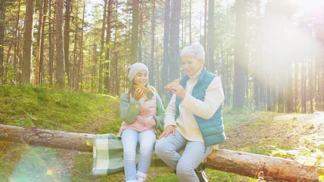 奶奶和孙女在森林里野餐视频素材