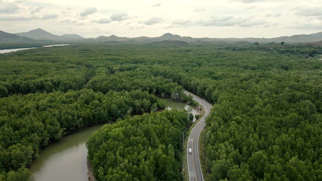 汽车在柏油路上行驶，穿过森林。视频素材