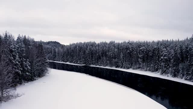 无人机翘起雪林和河流，树木在皑皑白雪下的天空视频素材