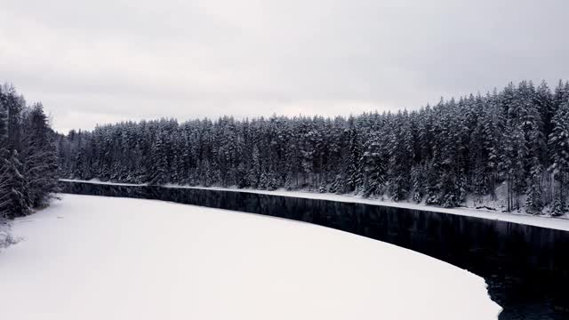 无人机拍摄的雪林和河流，树在皑皑白雪下的天空视频素材