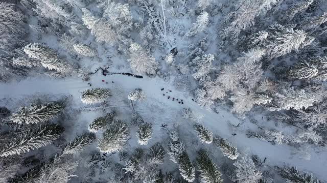 人们走在寒冷的北方森林的小路上，从山顶上的无人机可以看到雪景视频素材