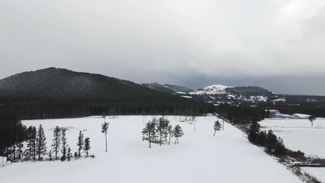 雪景Oreum(寄生火山)和树/济州岛，韩国视频素材