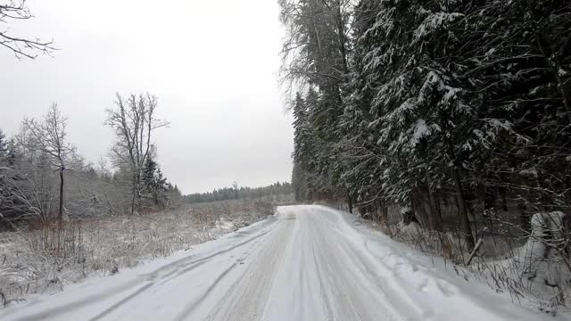 POV旅行的越野车通过冬天的森林。美丽的雪林景观在冬天。在冬天开车旅行视频素材