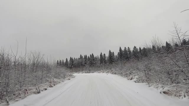 POV旅行的越野车通过冬天的森林。美丽的雪林景观在冬天。在冬天开车旅行视频素材