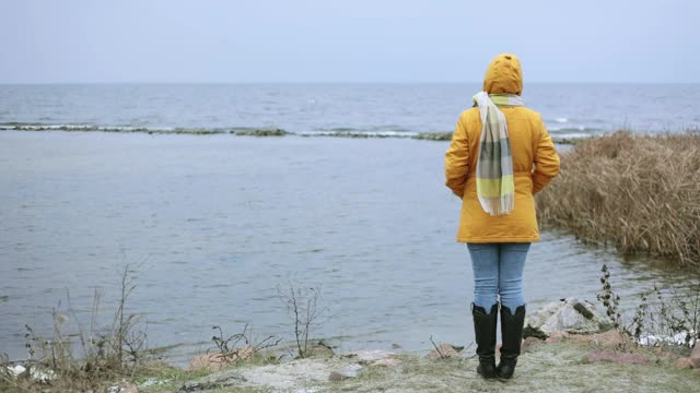 一个女人站在湖边欣赏着冬天的景色。视频素材