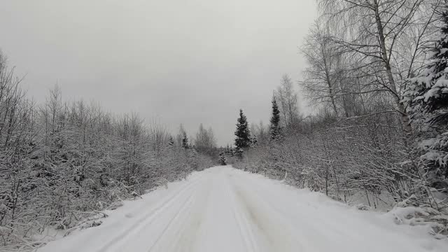 POV旅行的越野车通过冬天的森林。美丽的雪林景观在冬天。在冬天开车旅行视频素材