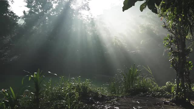 光线的镜头视频素材