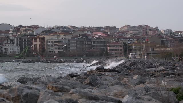 海浪拍打着岩石的慢镜头和暴风雨中飞翔的海鸥视频素材