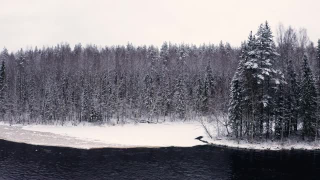 无人机拍摄的雪林和河流，树在皑皑白雪下的天空视频素材