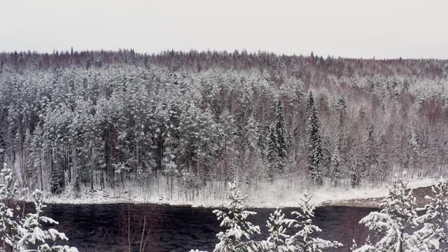 无人机飞回雪林，树木在雪峰下的白色天空视频素材