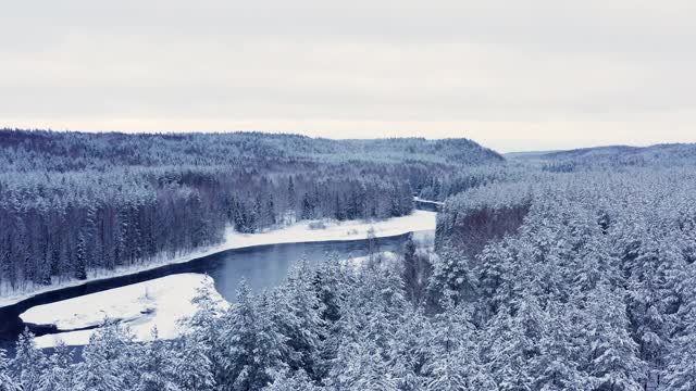 无人机拍摄的雪林和河流，树在皑皑白雪下的天空视频素材