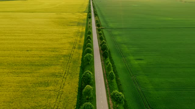 空中乡村公路在田野中间视频素材