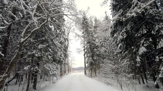 POV旅行的越野车通过冬天的森林-一个回头。美丽的雪林景观在冬天。在冬天开车旅行视频素材