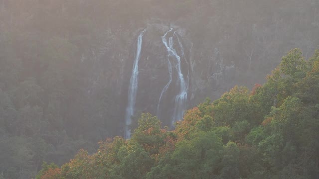 日落时分，落叶龙舌兰林中的瀑布视频素材