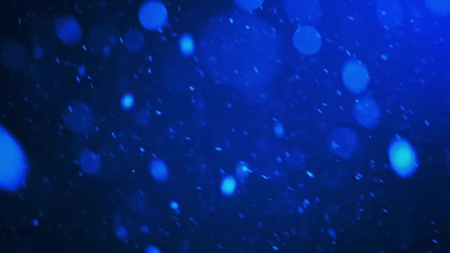 真正的雪。雪花在晚上以不同的速度落下。深蓝背景上孤立的自然雪视频素材