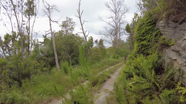 中年妇女骑着山地车去大自然视频素材