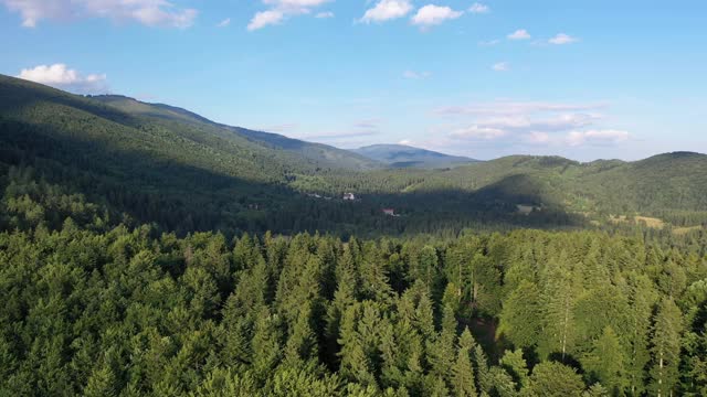 空中，无人机拍摄的云杉，飞越针叶林和田野，低塔特拉斯，斯洛伐克视频素材