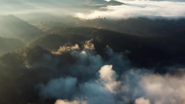 鸟瞰图美丽的晨雾山在Mae Hong Son泰国视频素材