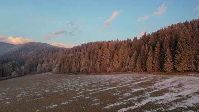 空中拍摄的冰冻森林和草地上的橙色日落视频素材