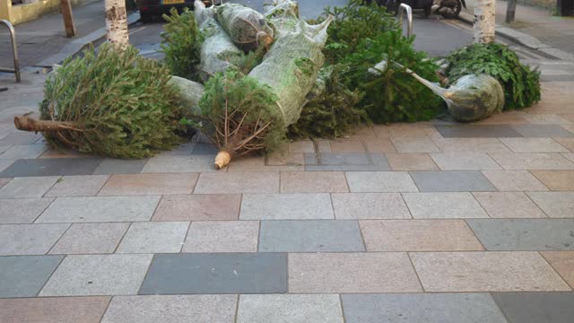 在城市度假后被丢弃在街道上的松树。视频素材