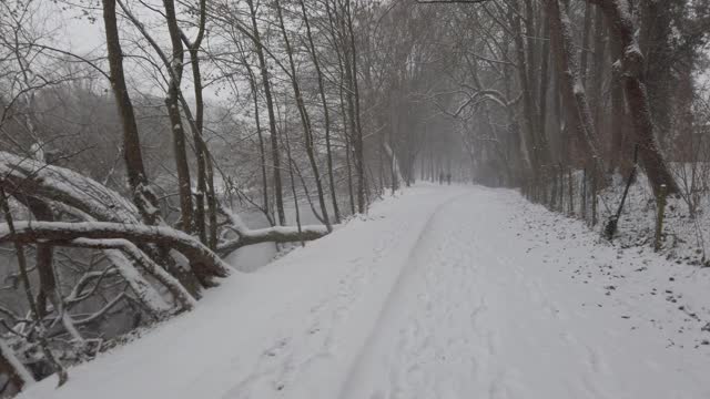 冬天，在河边的户外，下雪的时候穿过树巷视频素材