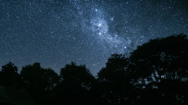 黑暗的夜空与银河系的星星在野生森林树木在新西兰自然天文时间流逝视频素材