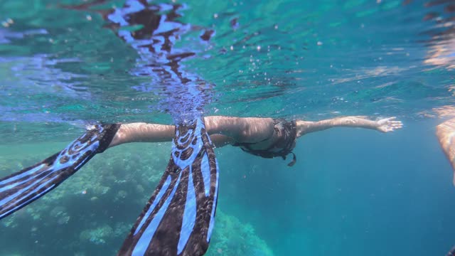 美丽的女人浮潜在鱼在蓝色的海洋视频素材