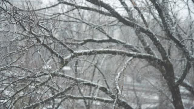 冬季有柔和的降雪。视频素材