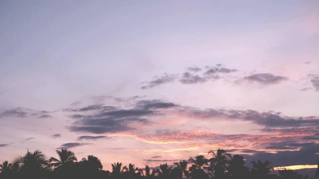 红紫橙蓝粉云景时间流逝背景。照耀着广阔的空间。云的形状在大眼睛滚动打开黑暗的夜晚天空日出通过剪影棕榈树，阳光射线和耀斑视频素材