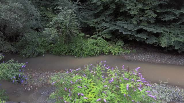 飞越高山河流视频素材