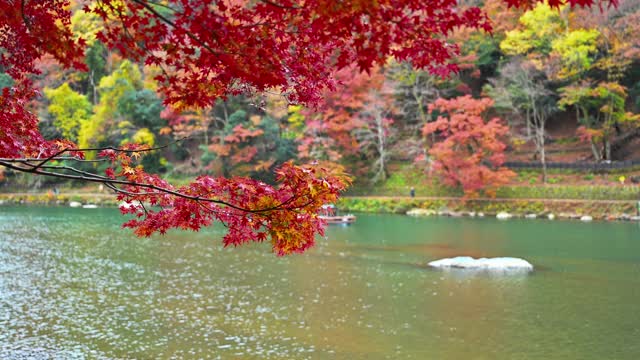 日本京都秋日荒山划船的画面视频素材