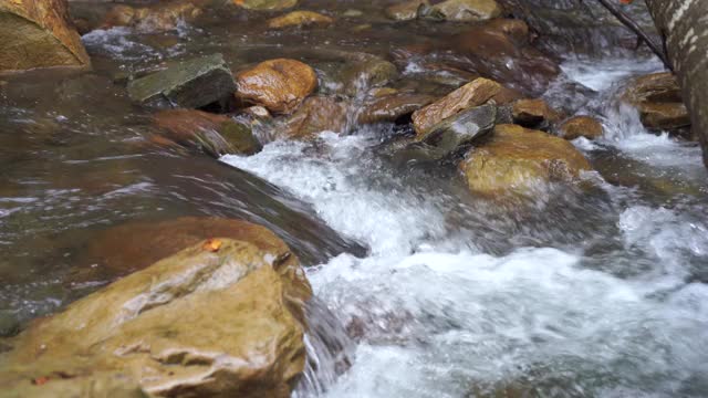 野生山河近清晰的小溪静态拍摄视频素材