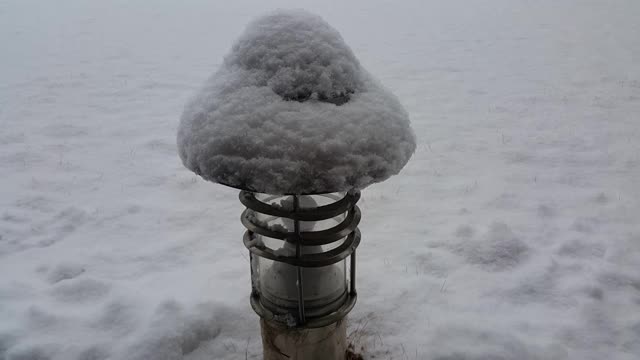 雪地和树木的景色，在一个公园在冬天视频素材