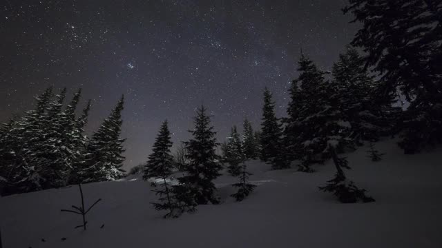 4K时间间隔的星空云杉森林雪景，童话般的冬天在斯洛伐克中部，欧洲视频素材