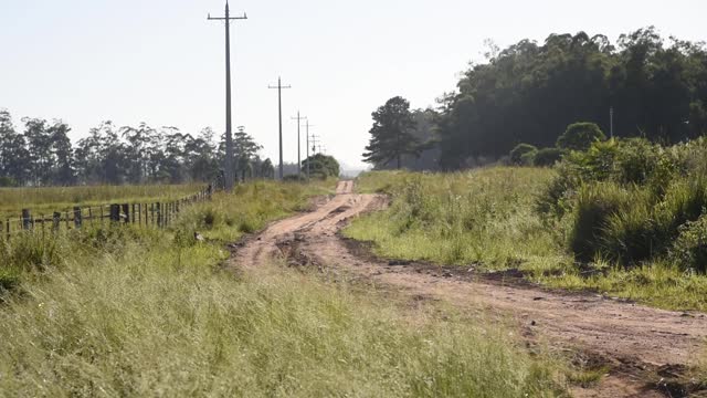 被电线杆包围的农场土路视频素材