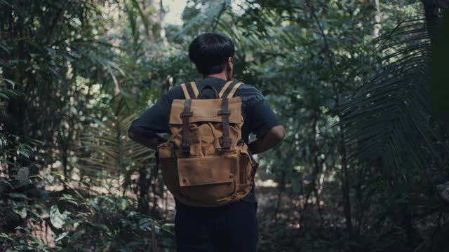 在森林里徒步旅行的人视频素材