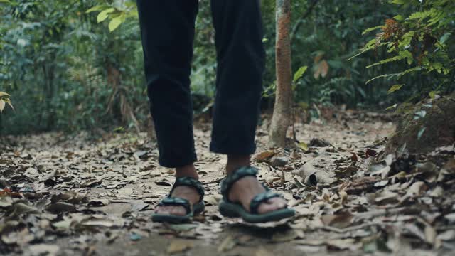 一名男性徒步者走在有干树叶的小路上的低段视频素材