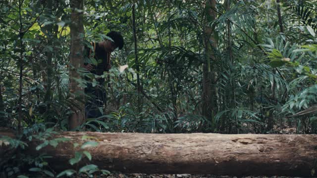 在雨林中穿越原木的人视频素材