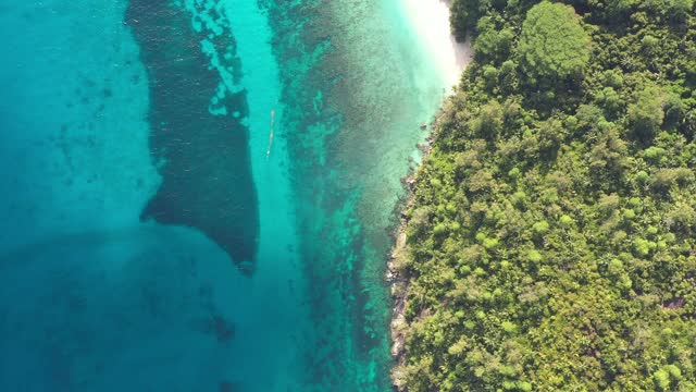 热带海滩鸟瞰图，塞舌尔视频素材