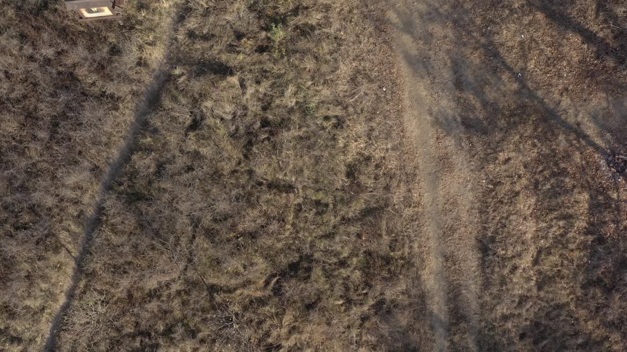 秋季在公园休息区和野餐区拍摄4K无人机视频视频素材