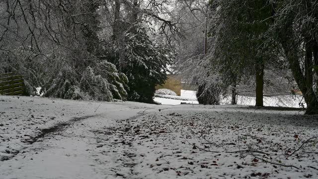 雪落在乡间小路上，穿过茂密的林地，背景是古老的建筑视频素材