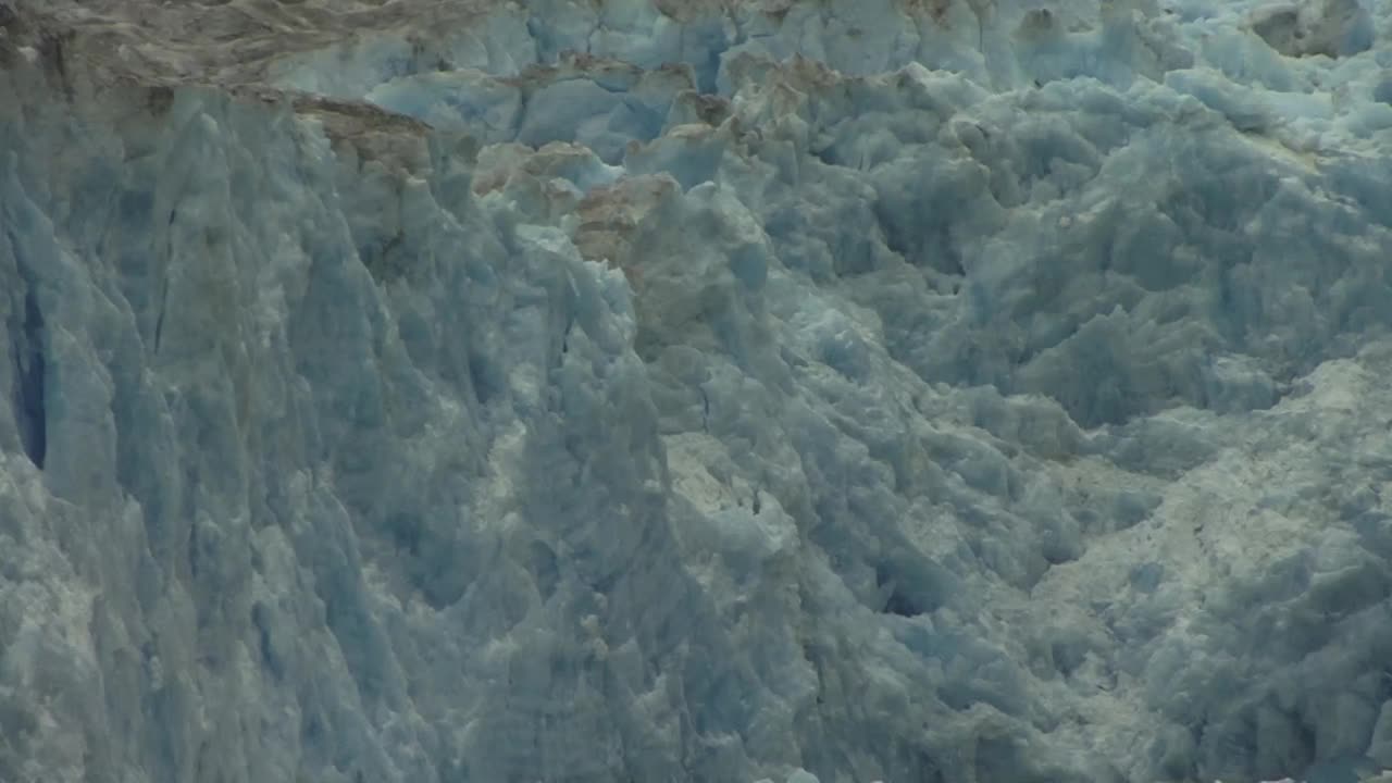 阿拉斯加特蕾西海湾视频素材