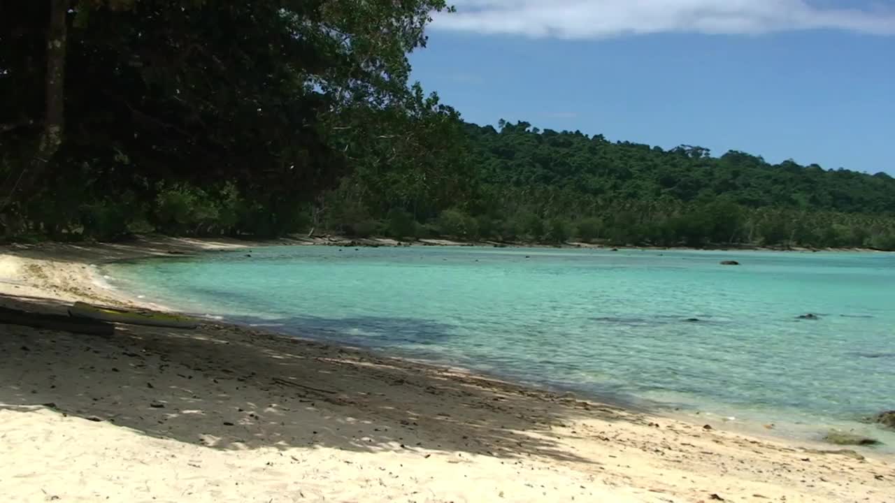 热带海滩视频下载