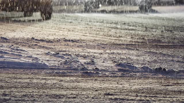 在夜晚的降雪中，汽车在覆盖着积雪的城市道路上行驶。高速公路上有发生事故的危险。飓风期间的艰难道路状况视频素材