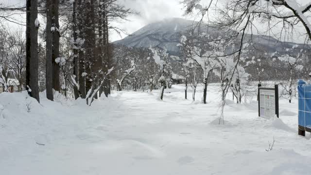 日本新泻山上的雪景视频素材