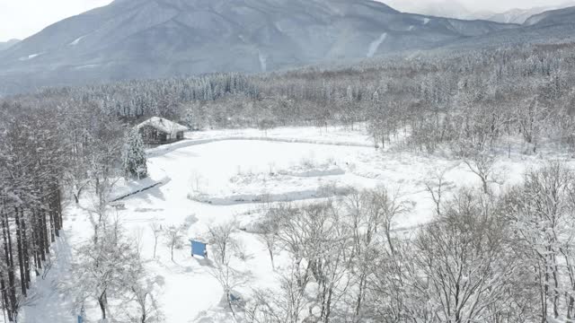 日本新泻山上的雪景视频素材