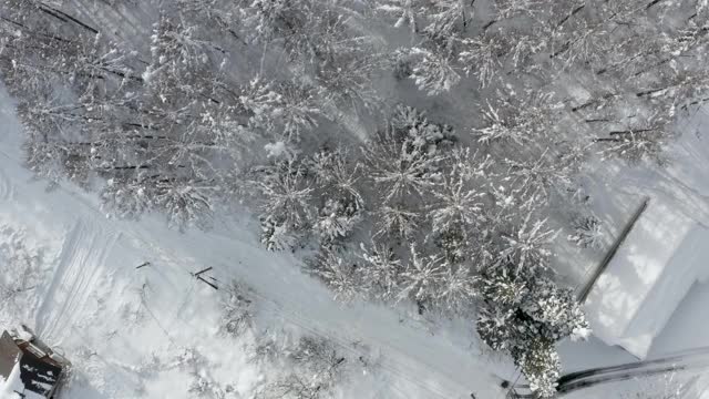 日本新泻山上的雪景视频素材